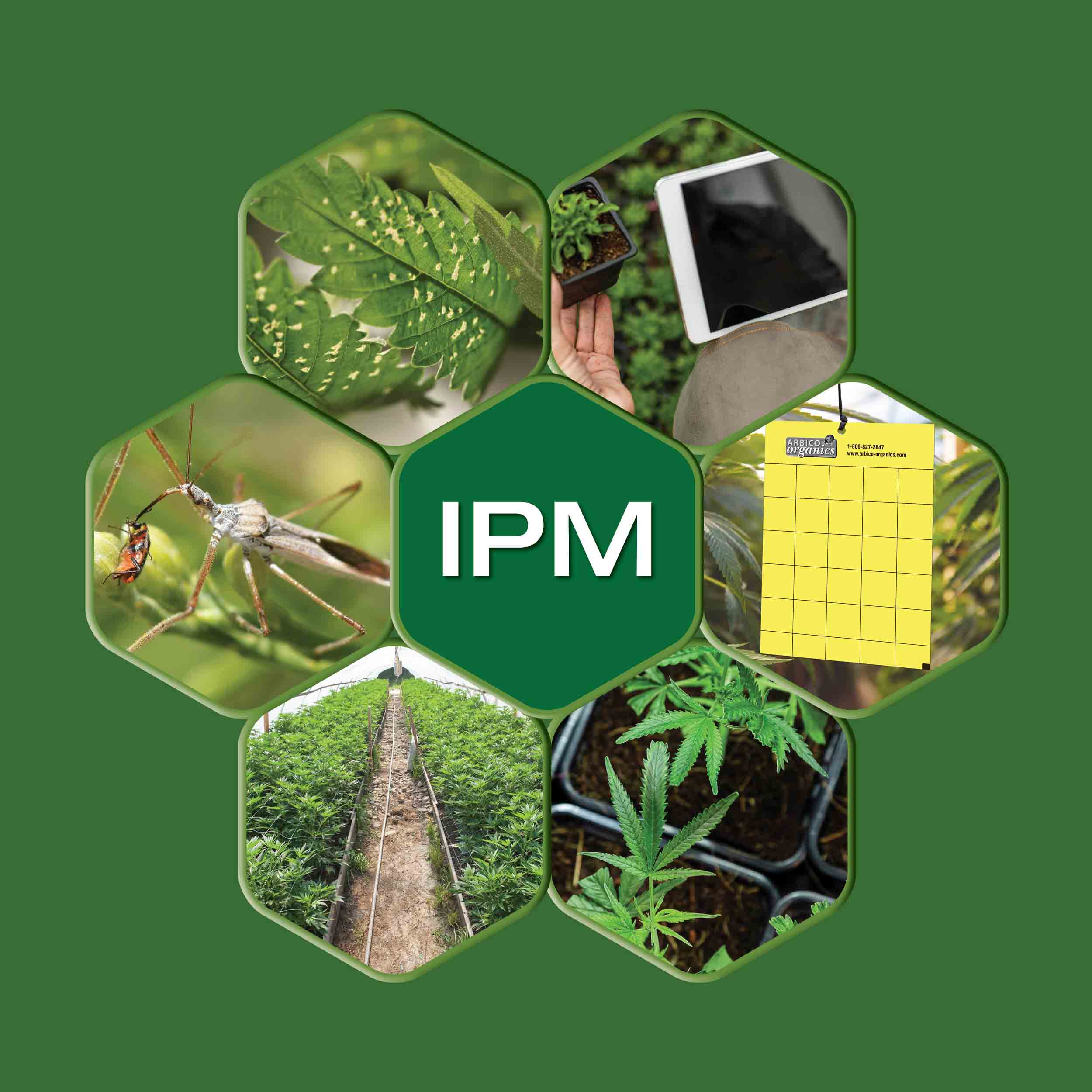 Use of Botanicals in Integrated pest management (IPM) Program